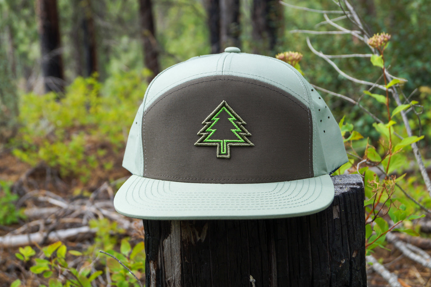 Double Tree - Orion Cap