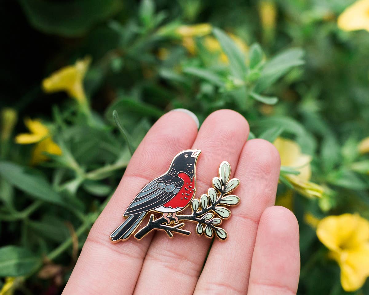 Robin Pin Stan Robin Enamel Pin – Pinetooth