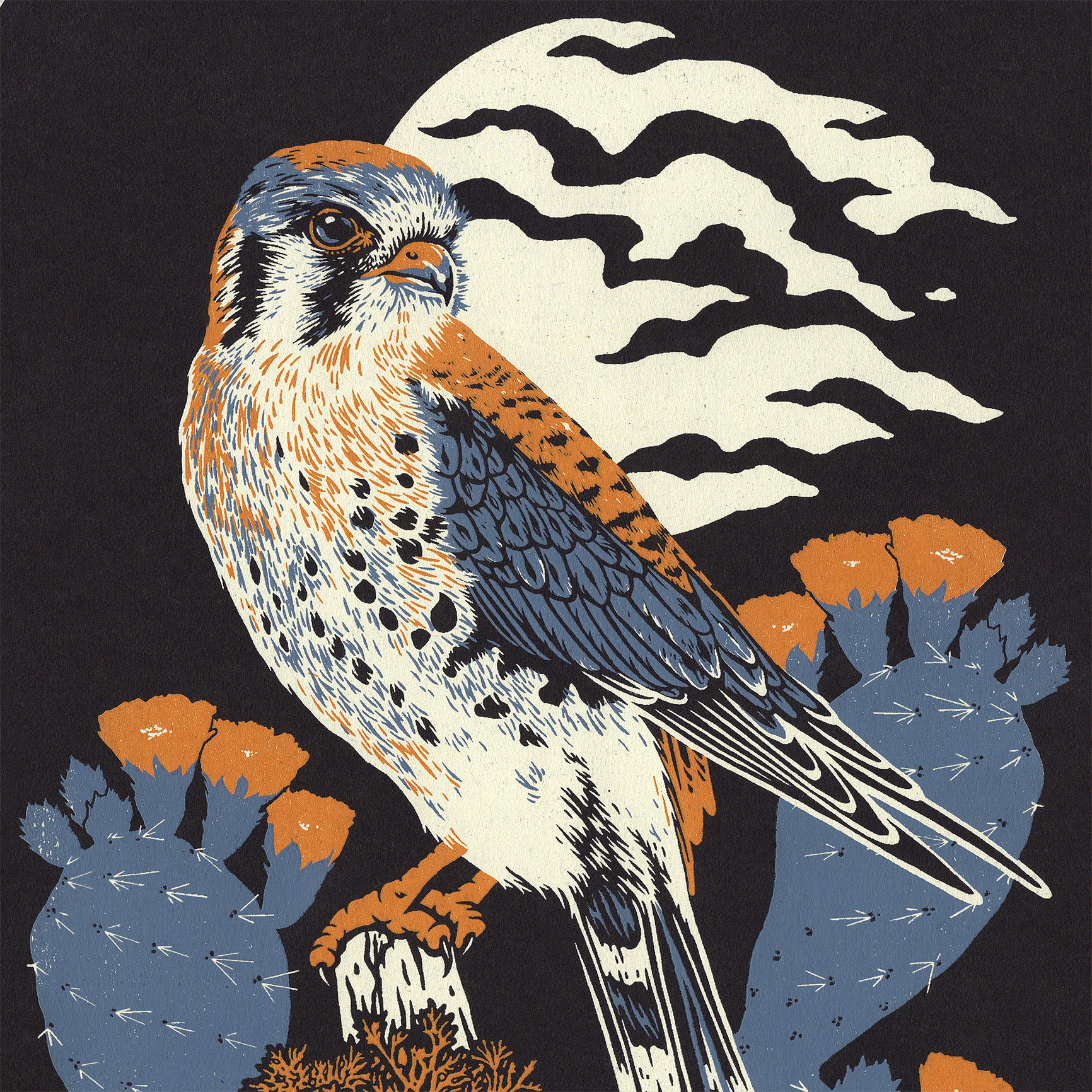 Kestrel & Prickly Pear 11x14" Giclee Print