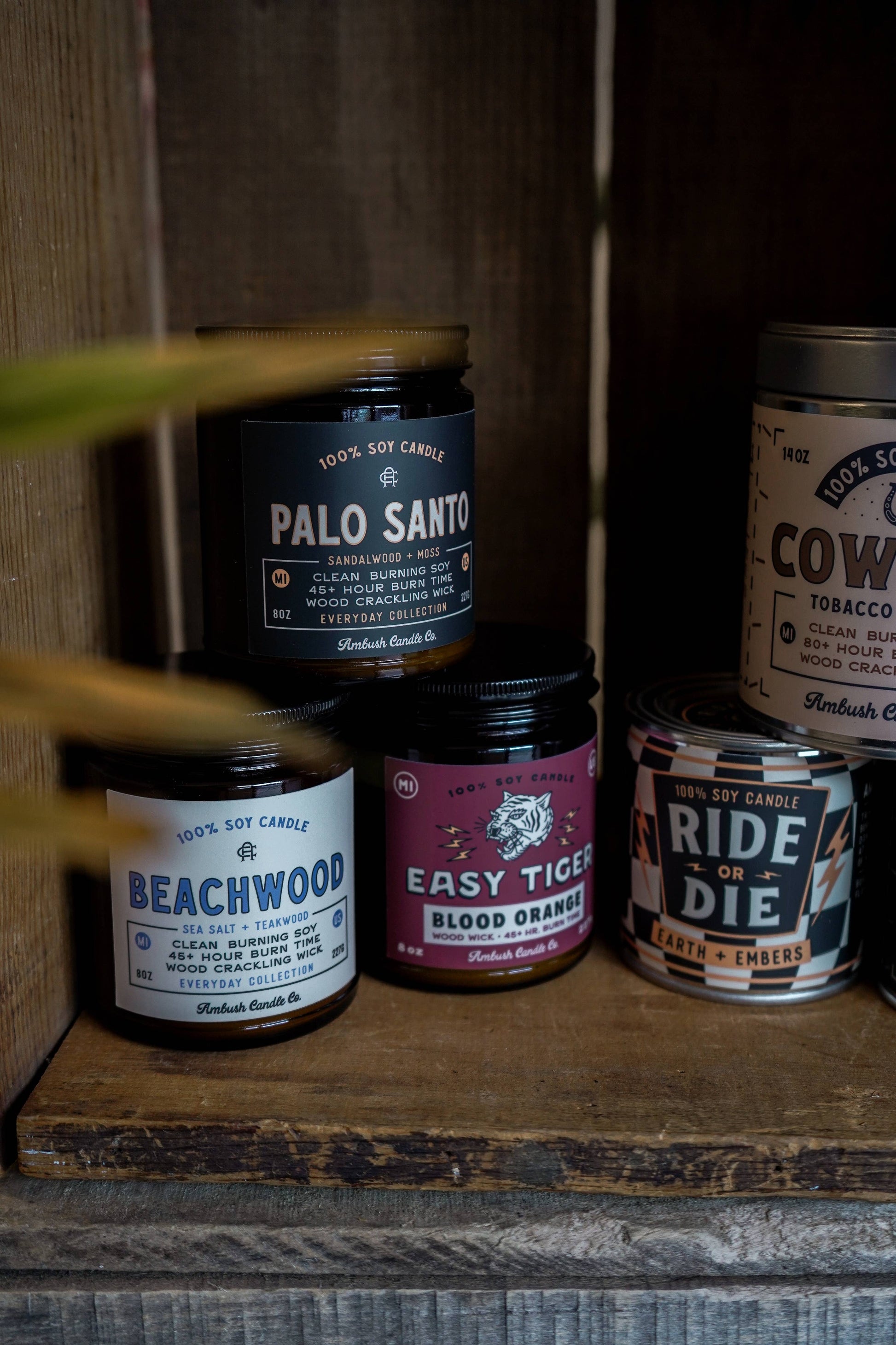 Beachwood | Sea Salt + Teakwood 8oz Soy Candle
