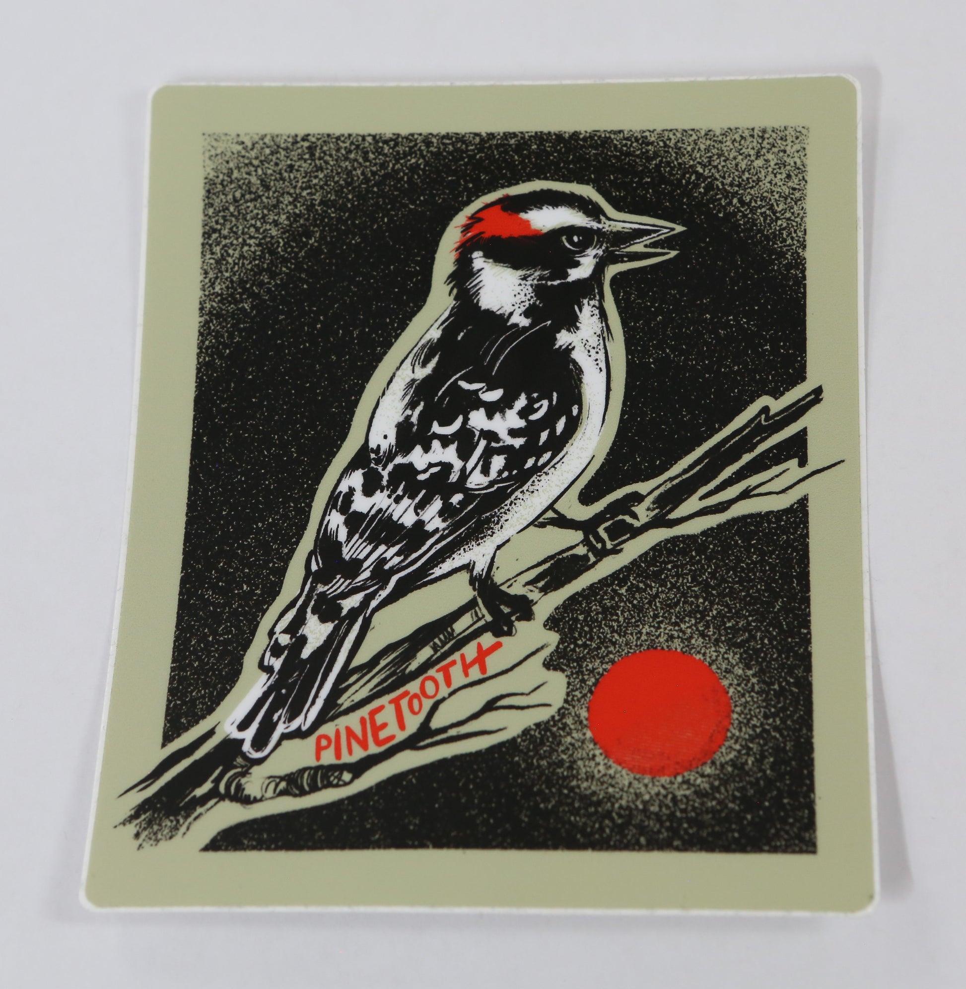 Downy Woodpecker - Sticker