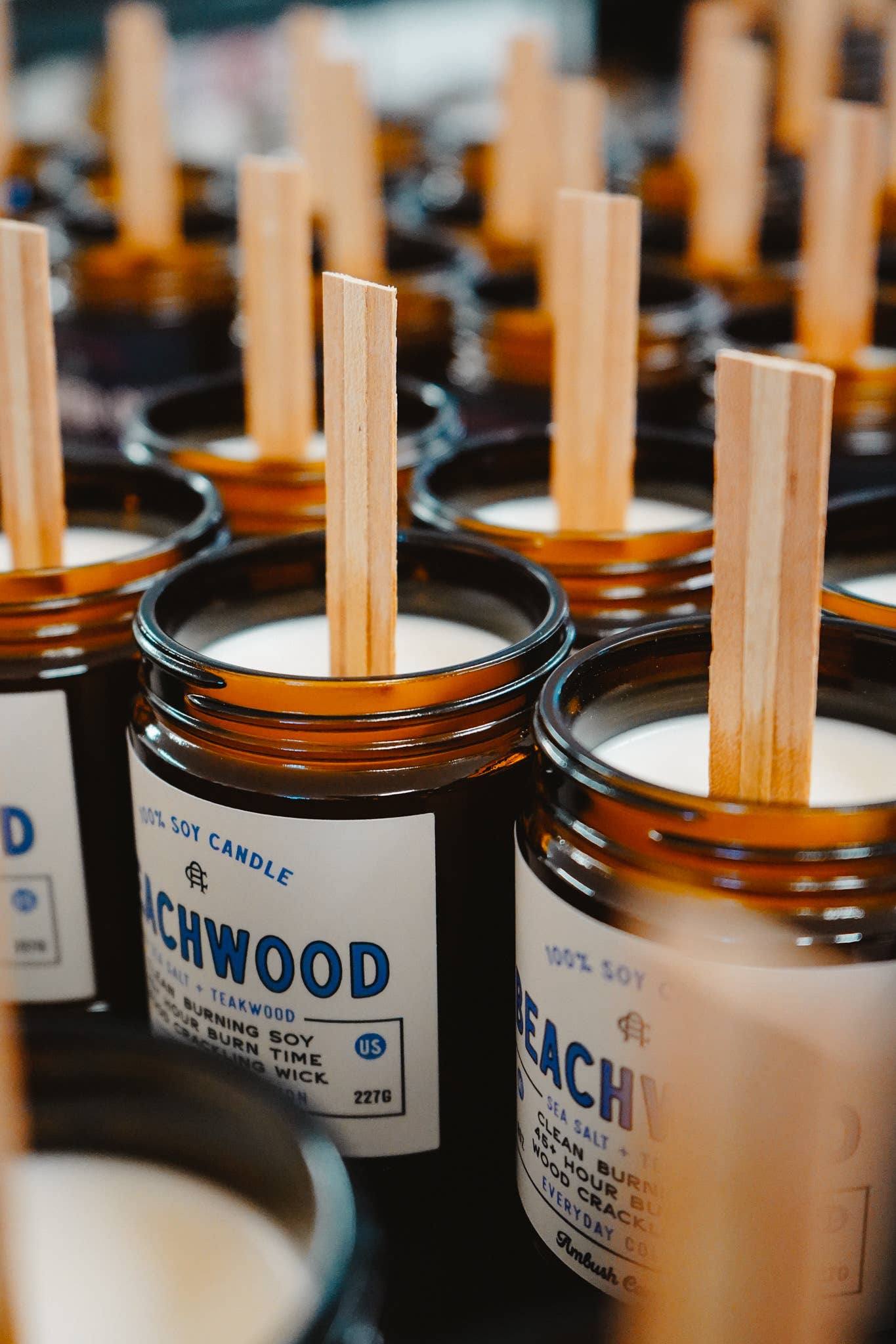 Beachwood | Sea Salt + Teakwood 8oz Soy Candle