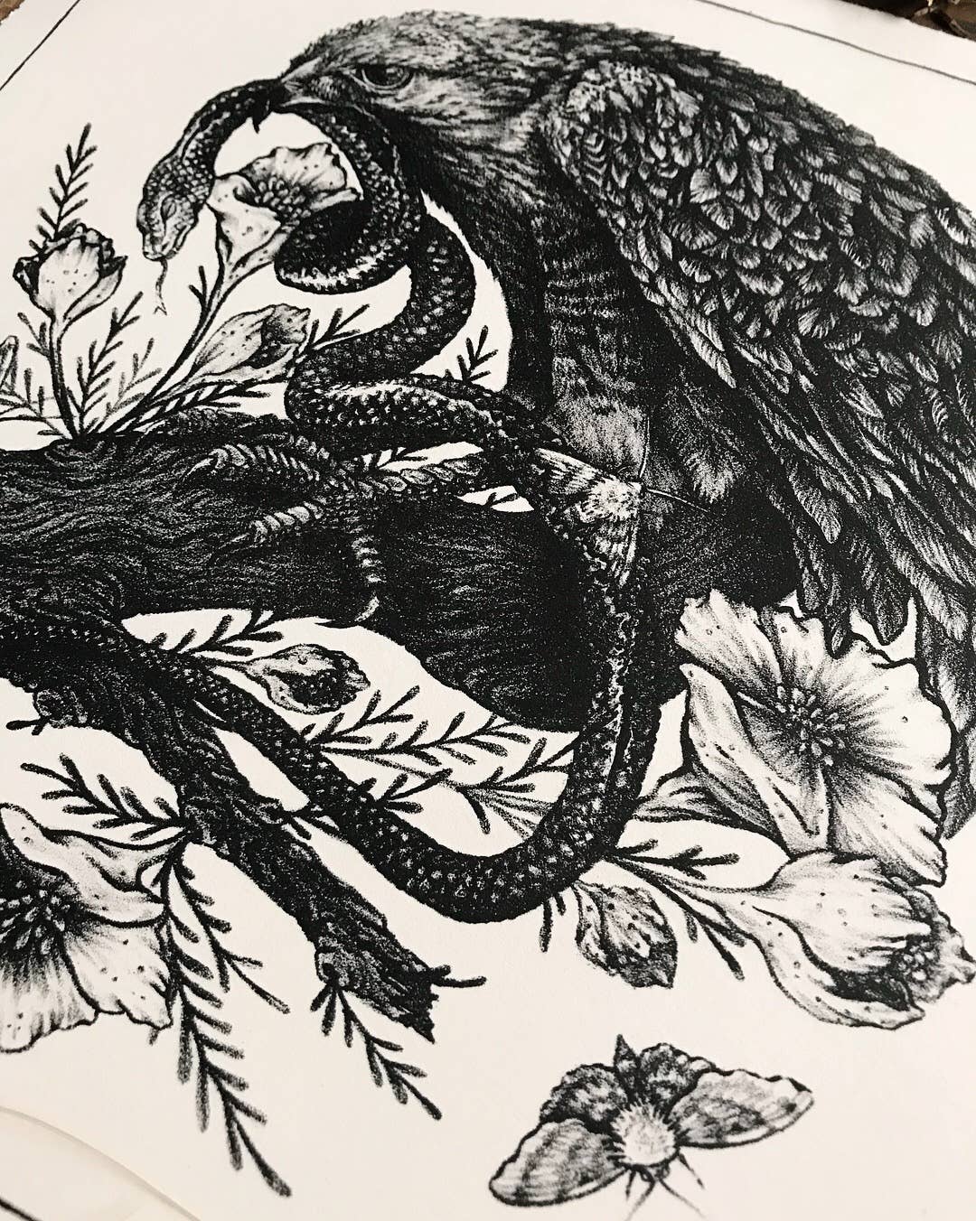 Hawk, Snake, Bird Nest Illustration 11x11" Giclee Print