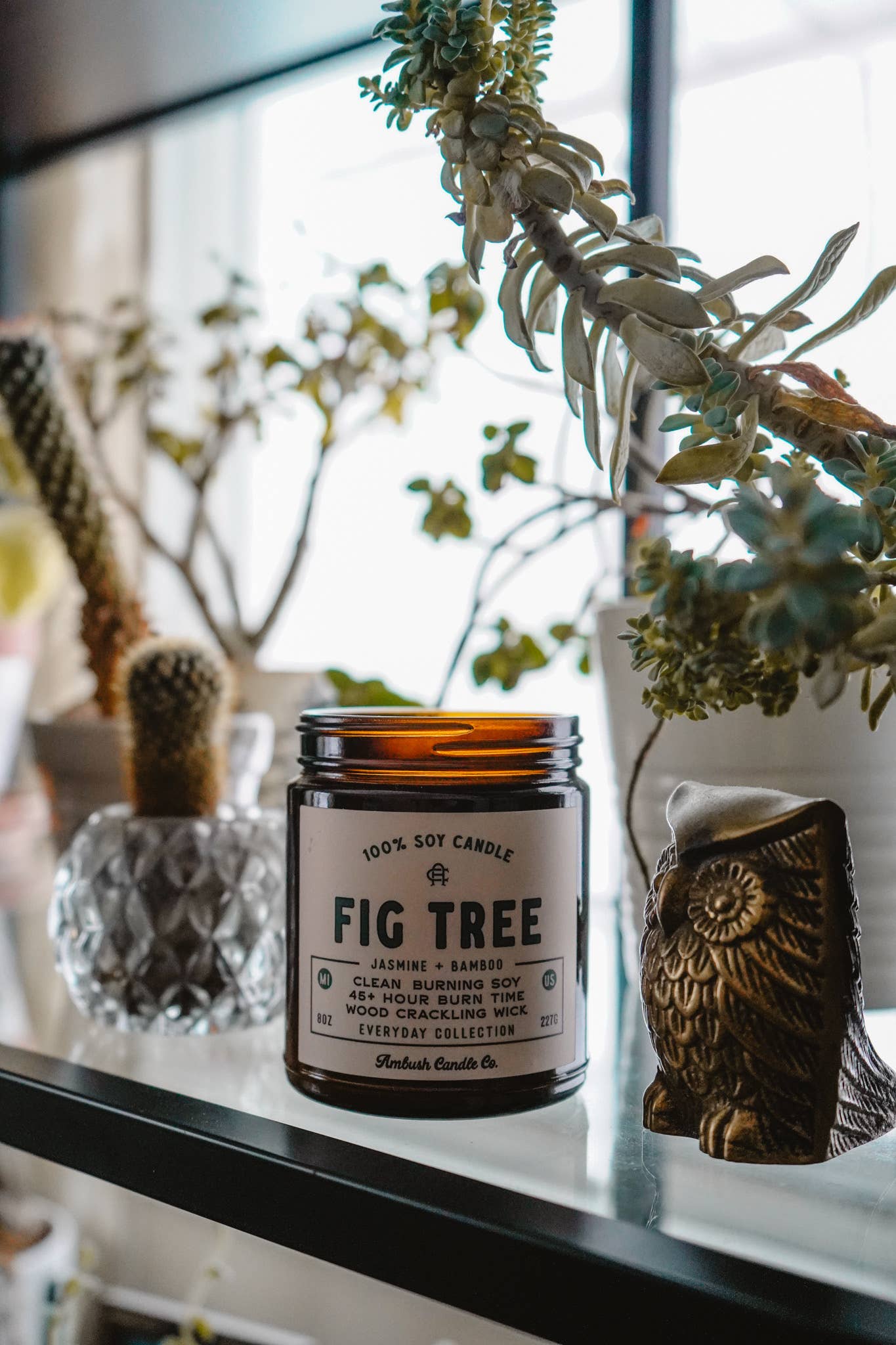 Fig Tree | Jasmine + Bamboo 8oz Soy Candle