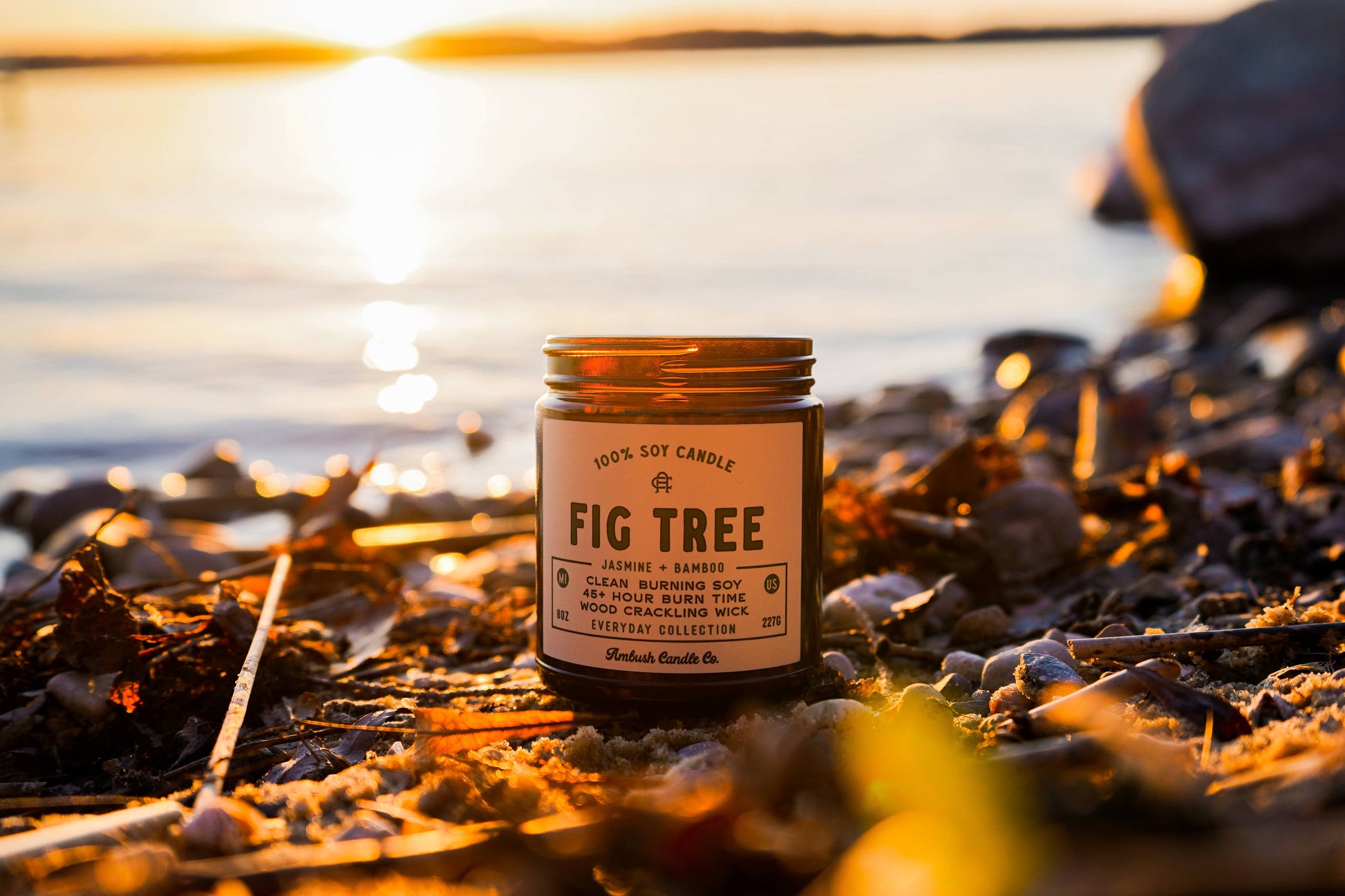 Fig Tree | Jasmine + Bamboo 8oz Soy Candle