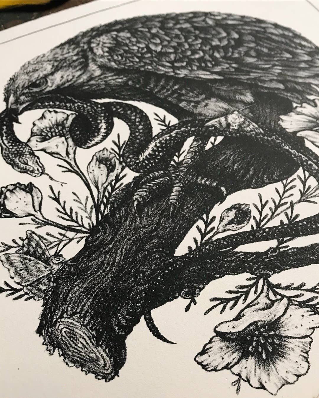 Hawk, Snake, Bird Nest Illustration 11x11" Giclee Print
