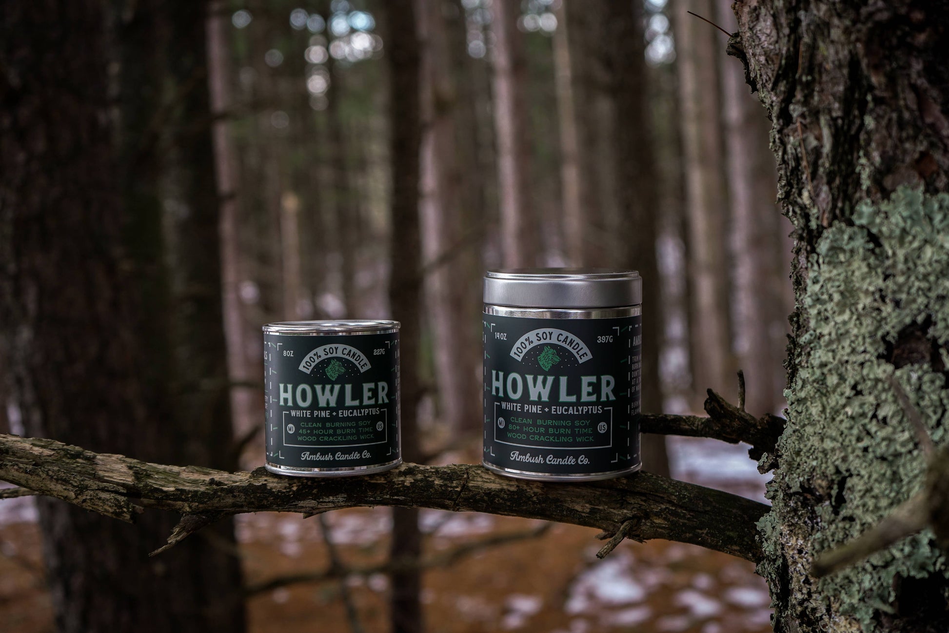 Howler | White Pine + Eucalyptus 8oz Soy Candle