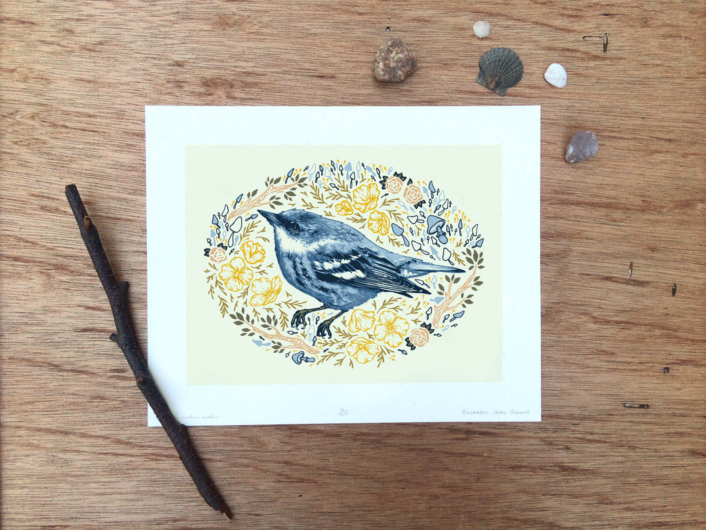 Cerulean Warbler - Art Print