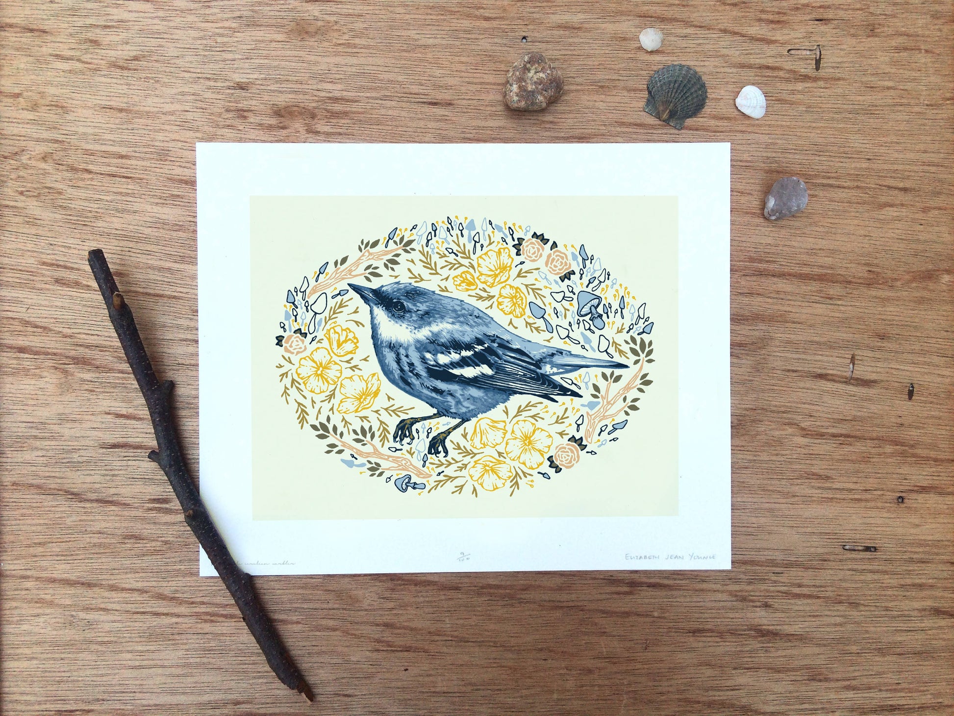 Cerulean Warbler - Art Print