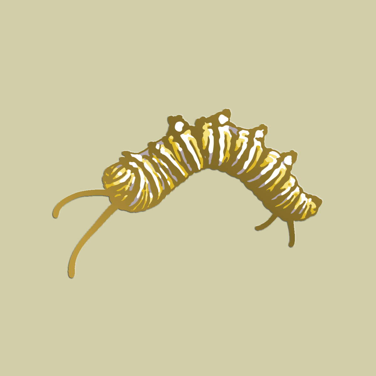 Enamel Pin: Monarch Caterpillar