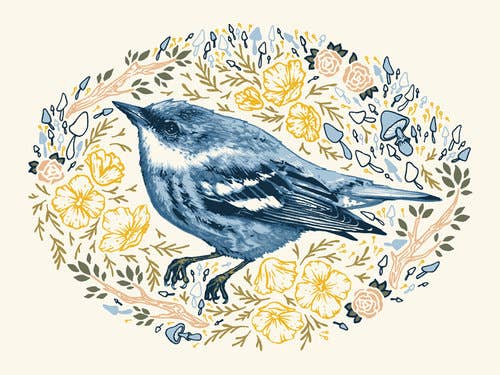 Cerulean Warbler - Art Print
