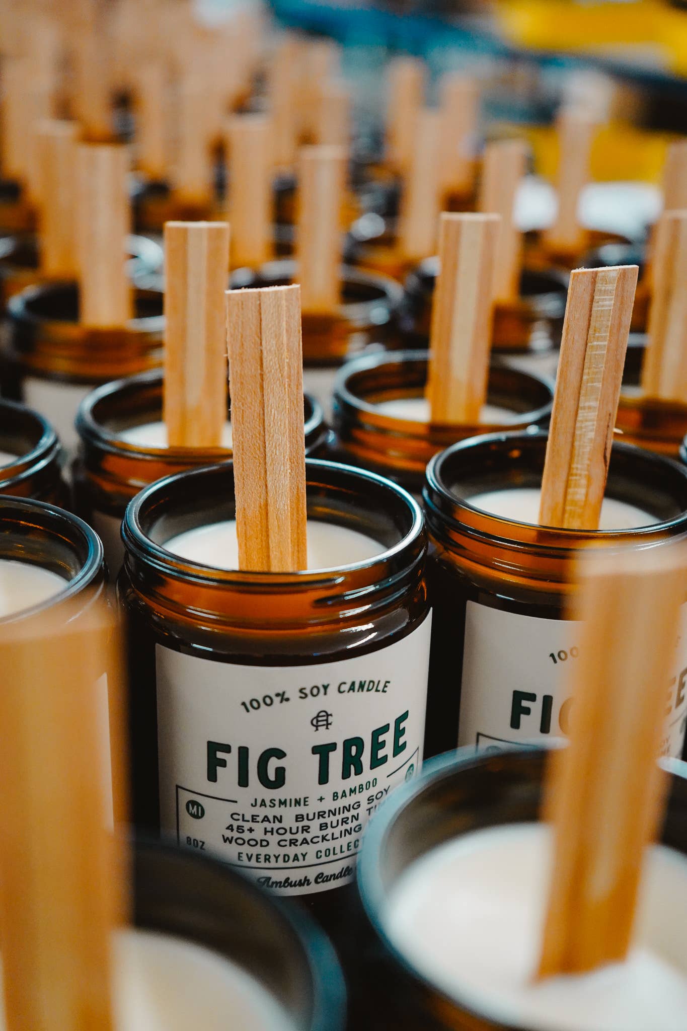Fig Tree | Jasmine + Bamboo 8oz Soy Candle