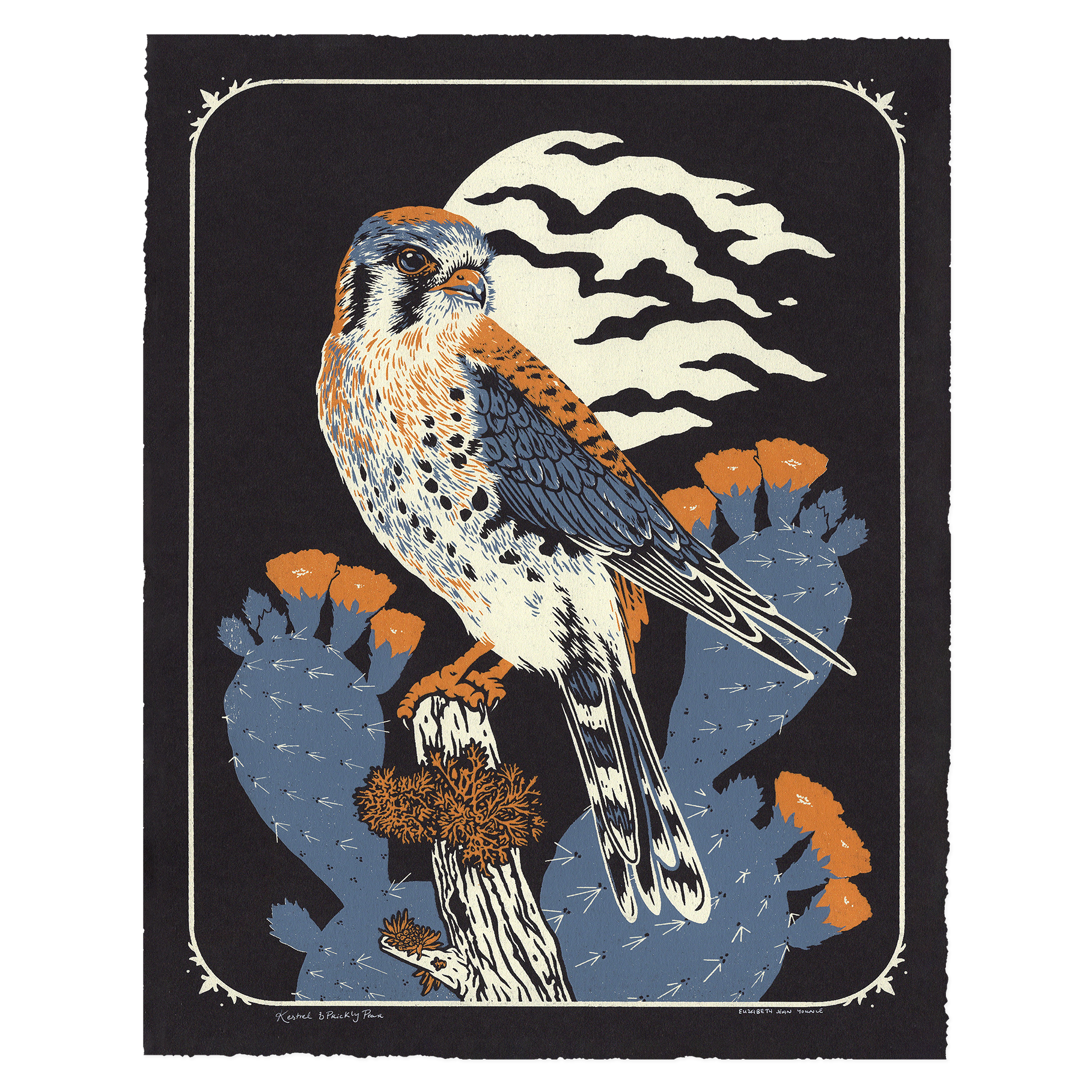 Kestrel & Prickly Pear 11x14" Giclee Print