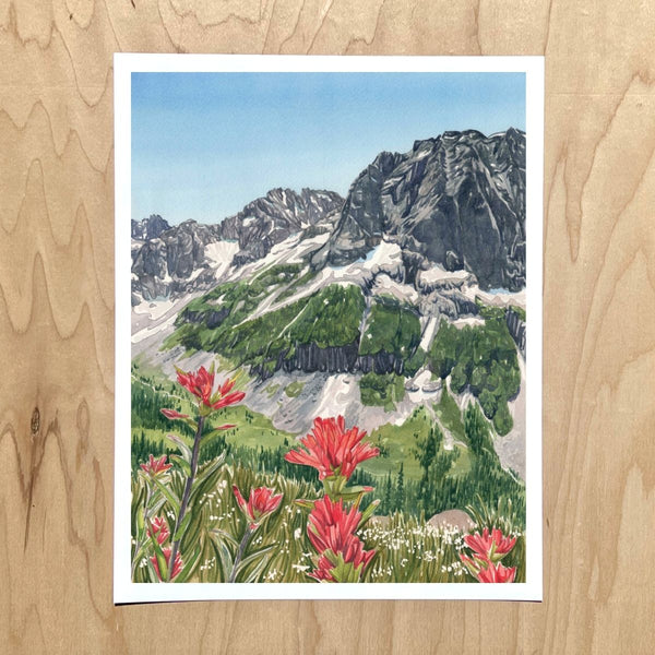 Alpine Paintbrush - Small Art Print