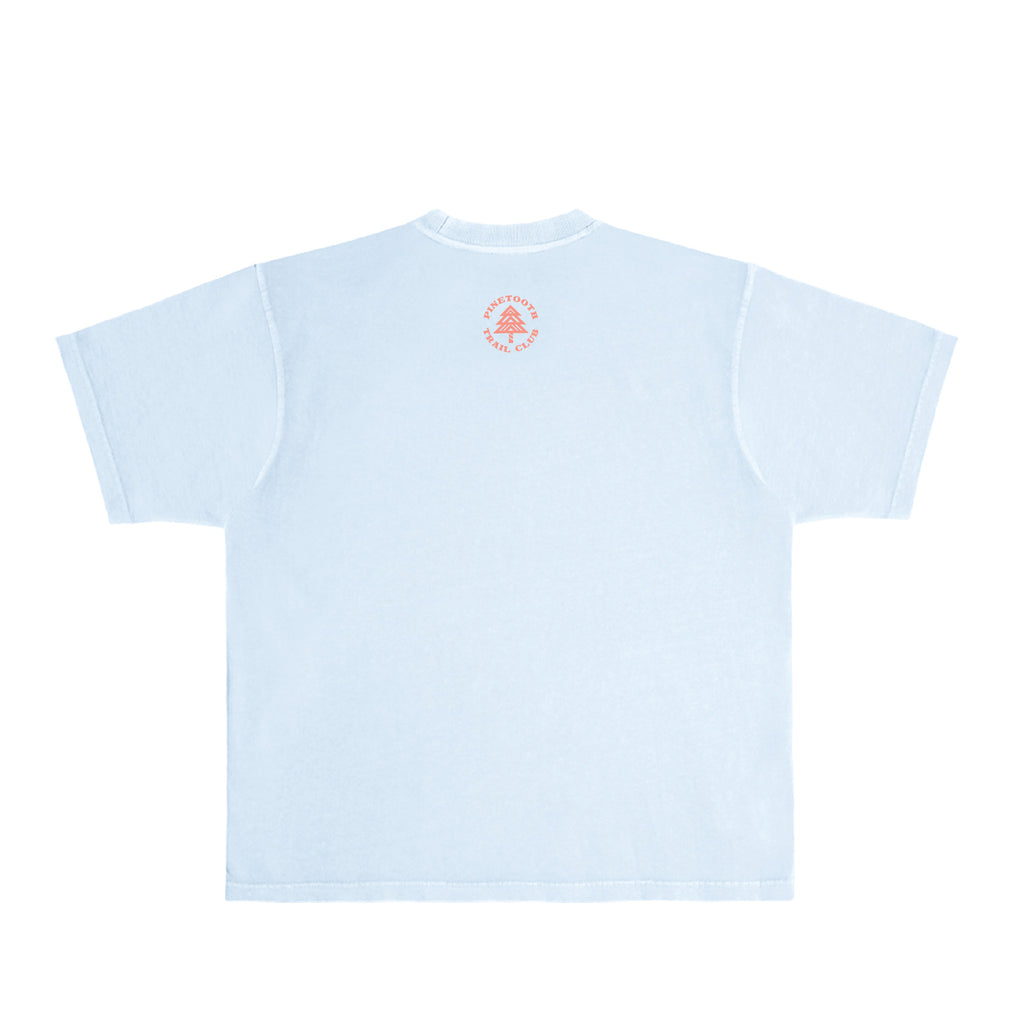 Aasgard Pass - Heavy 90's Tee