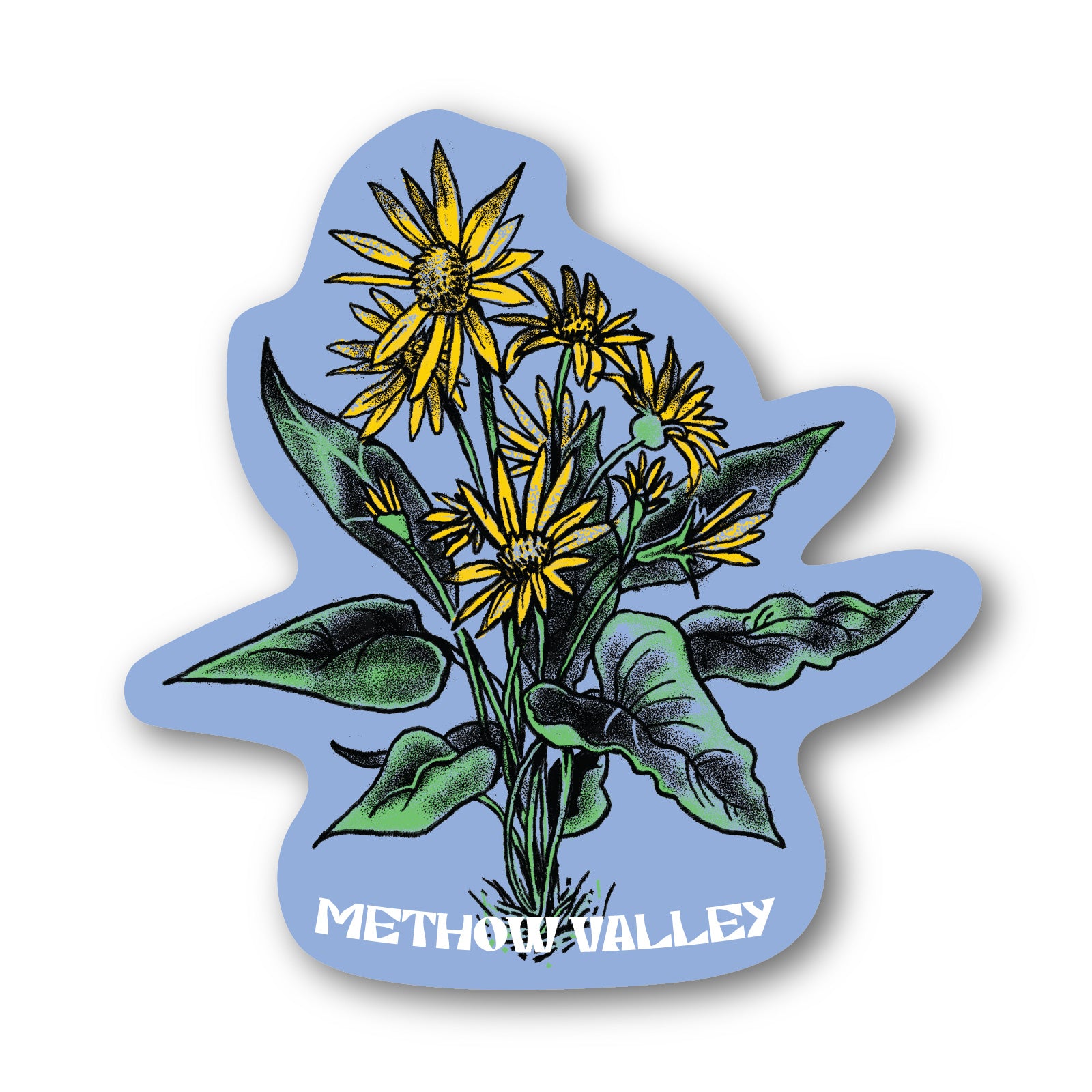Methow Balsamroot - Sticker