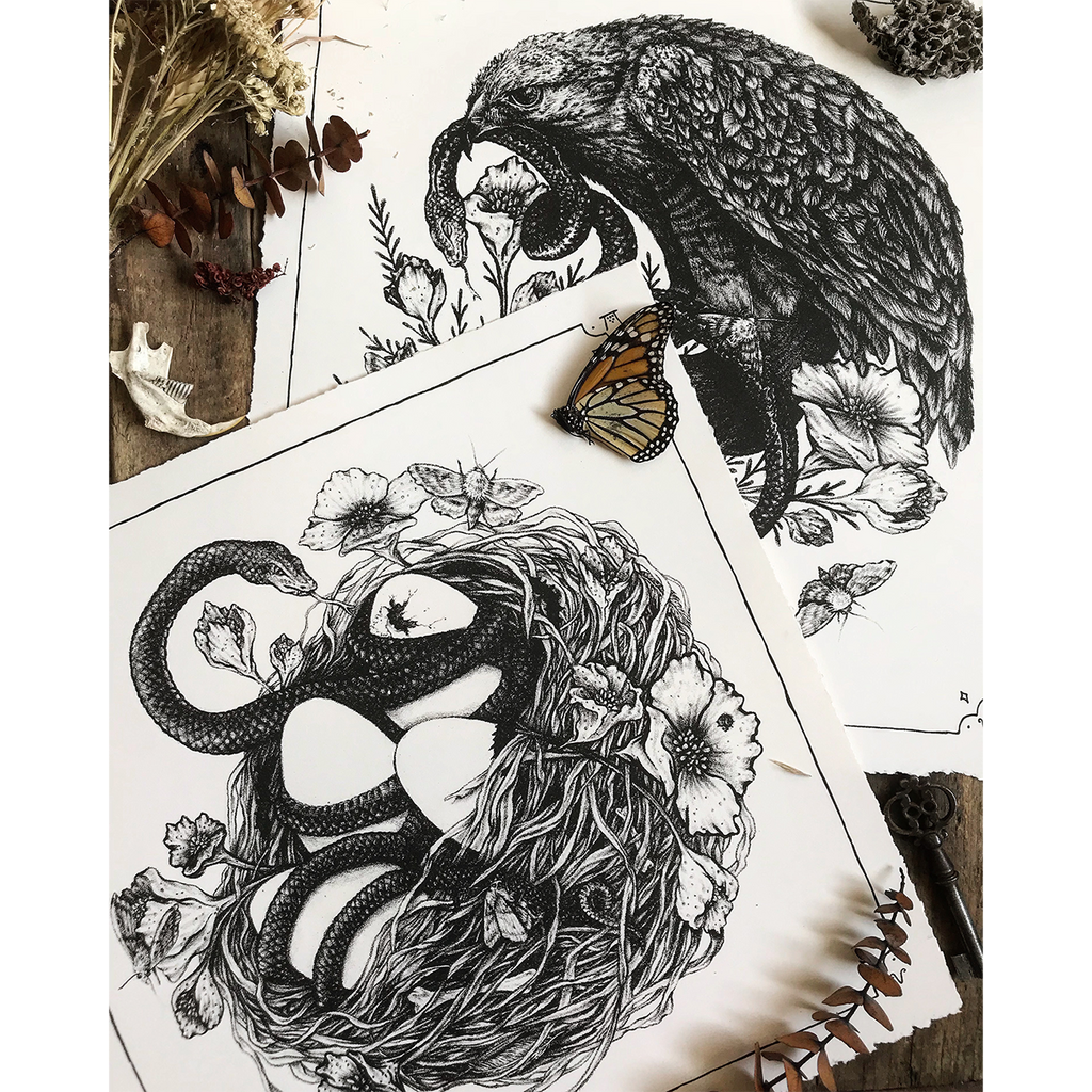 Hawk, Snake, Bird Nest Illustration 11x11" Giclee Print
