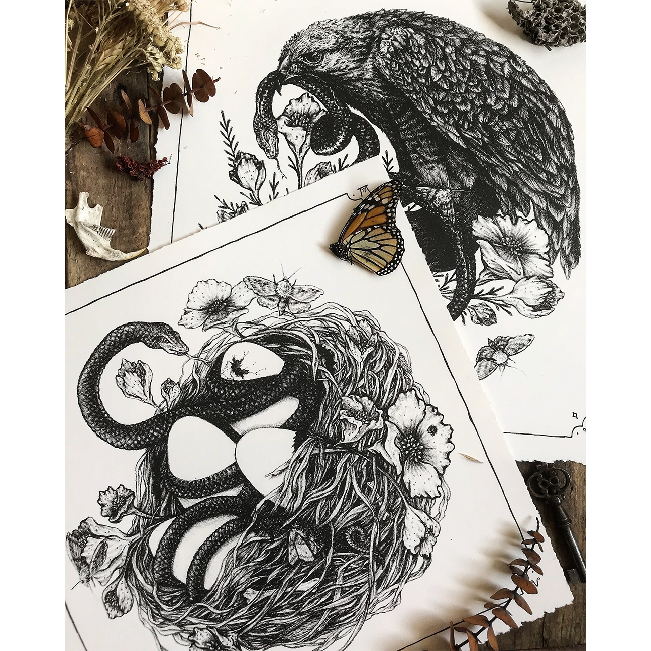 Hawk, Snake, Bird Nest Illustration 11x11" Giclee Print