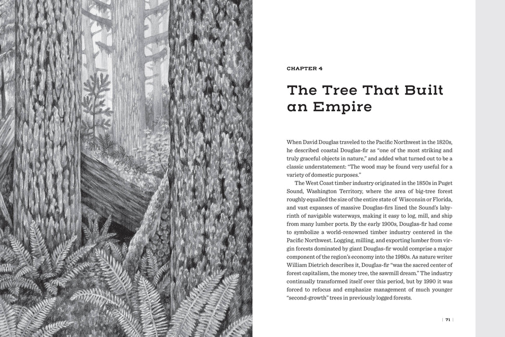 Douglas Fir: The Story of the West’s Most Remarkable Tree