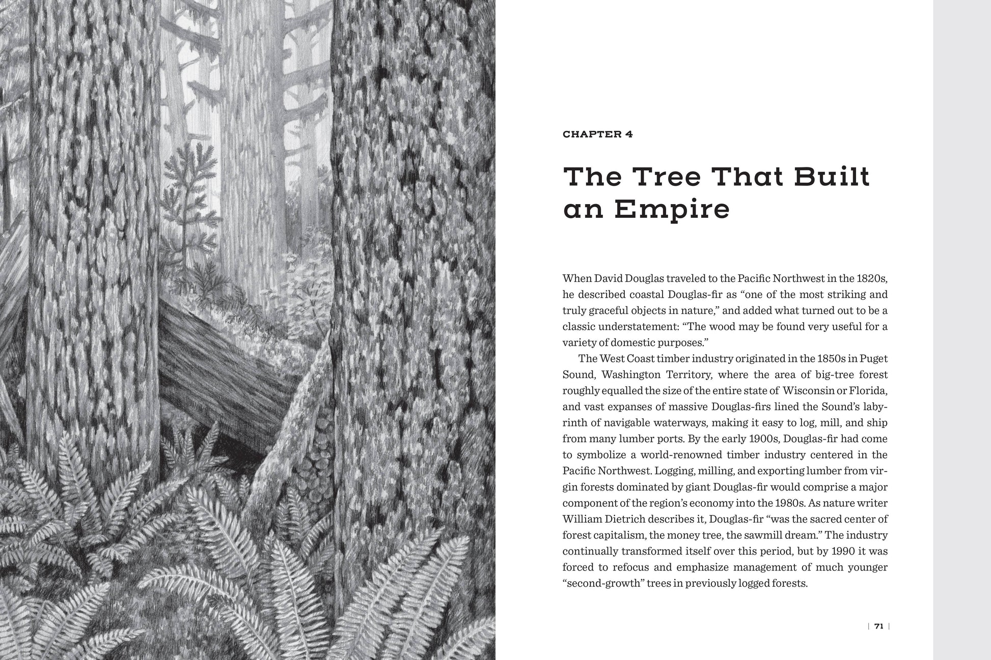 Douglas Fir: The Story of the West’s Most Remarkable Tree