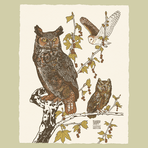 11x14" or 16x20" Pasadena Audubon Giclee Print: Owls
