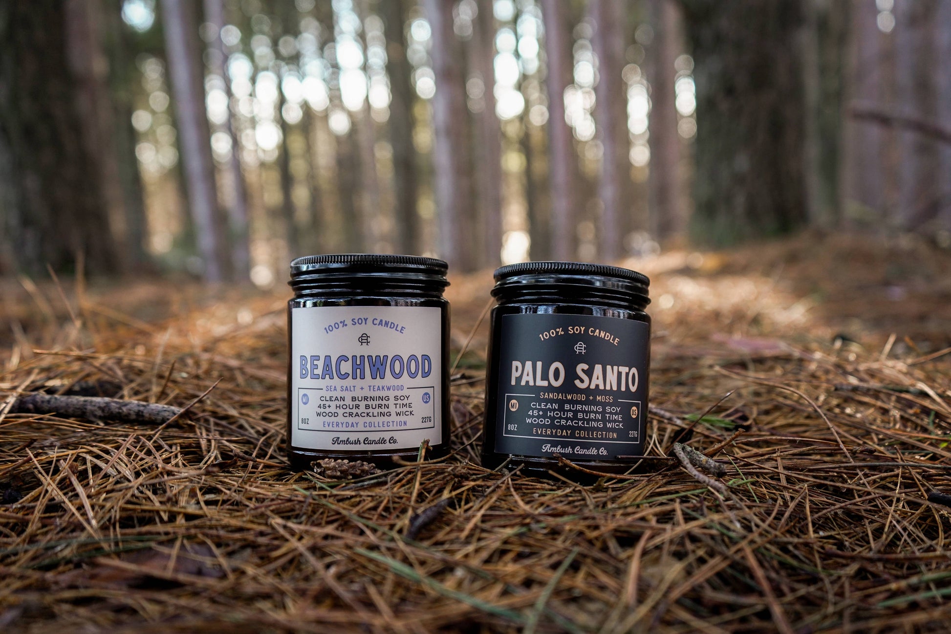 Beachwood | Sea Salt + Teakwood 8oz Soy Candle