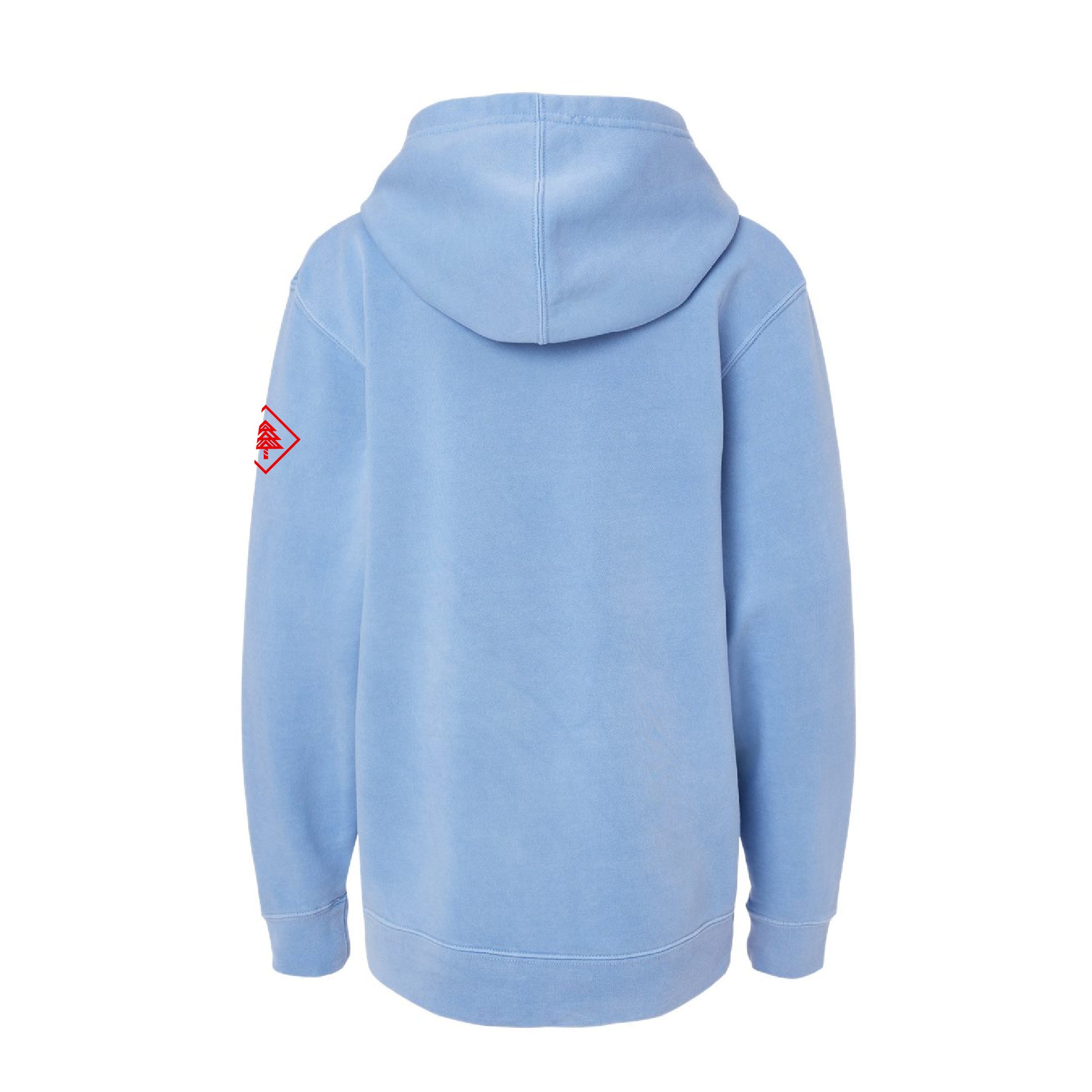 Downy Woodpecker - Youth Pigment Dye Hoodie